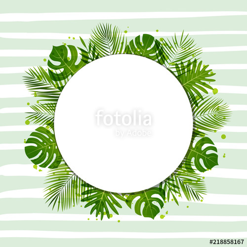 500x500 Summer Background With Palm Leaves. Tropical Plants. Vector