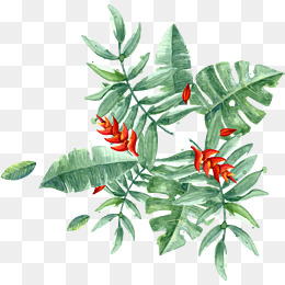 260x260 Tropical Plants Png, Vectors, Psd, And Clipart For Free Download