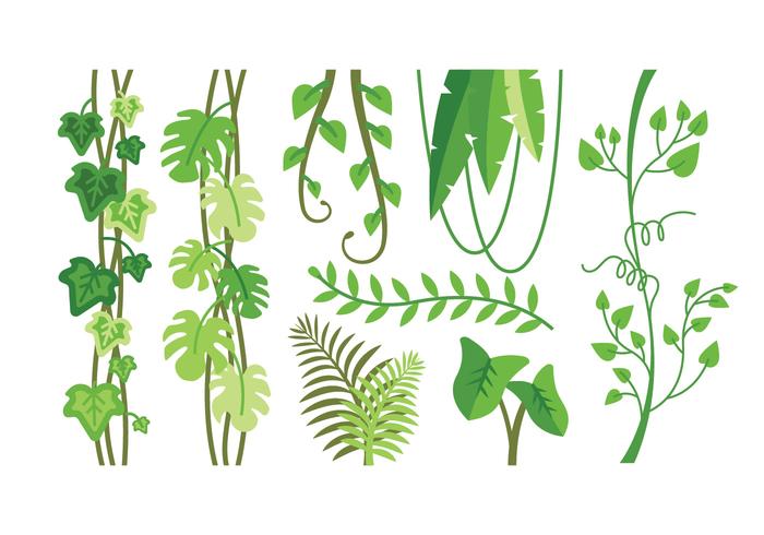 700x490 Tropical Plants Vectors