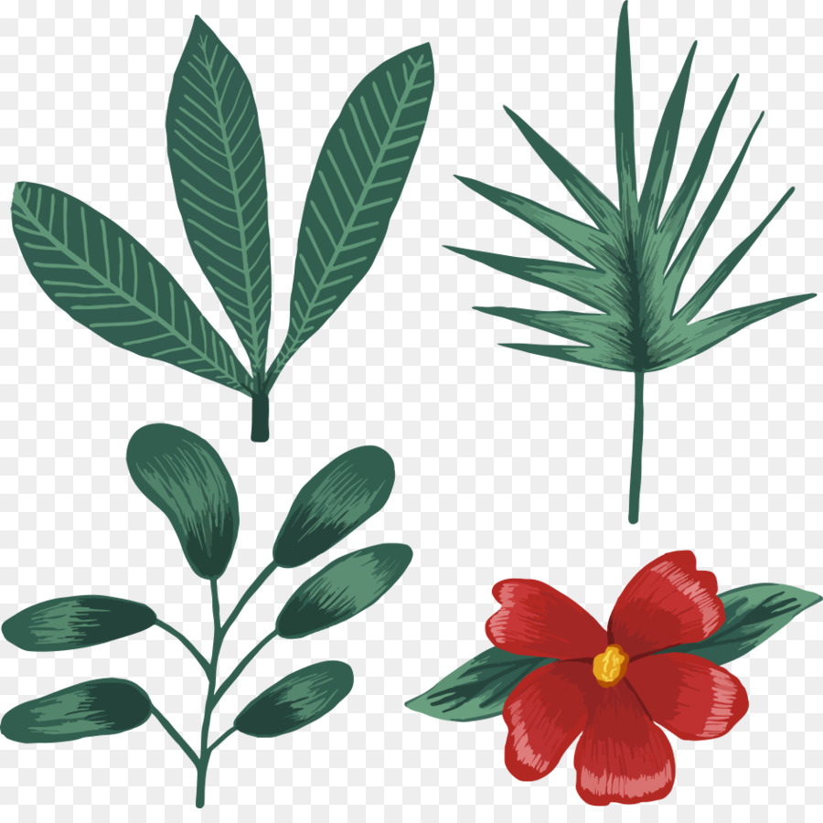 900x900 Euclidean Vector Tropics