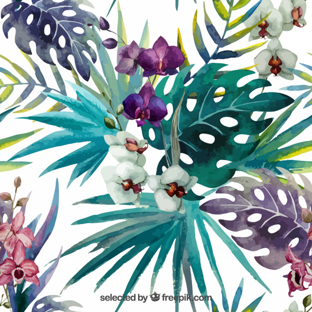 626x626 Hand Painted Tropical Plants Vector Free Download
