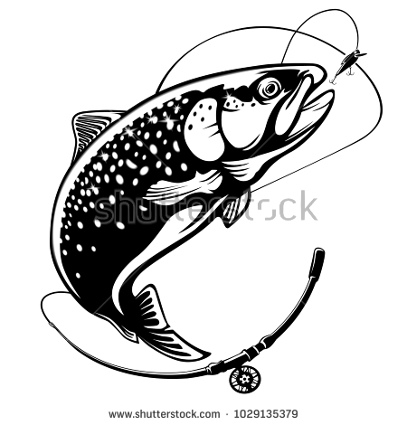 Rainbow Trout Vector at GetDrawings | Free download