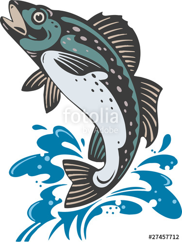375x500 Jumping Trout Stock Image And Royalty Free Vector Files On