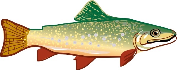 600x239 Vector Trout Free Vector Download (4 Free Vector) For Commercial