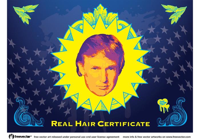 700x490 Donald Trump Hair Vector