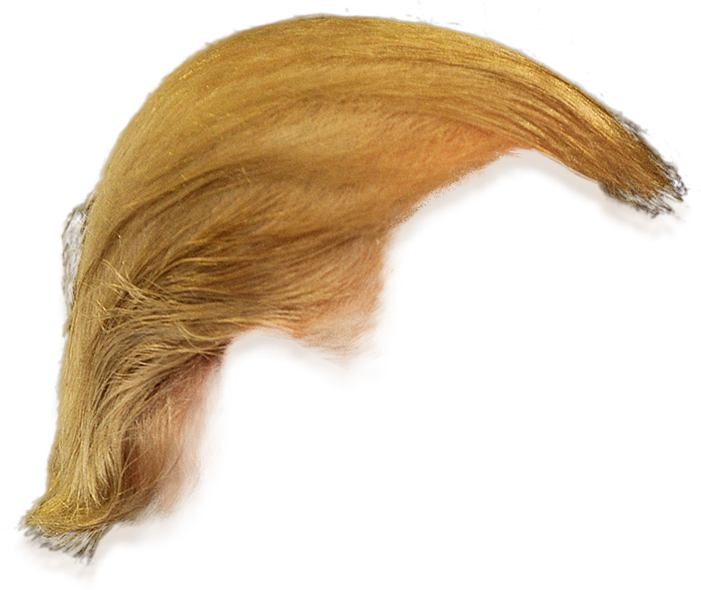 778x655 15 Trumps Hair Png For Free Download On Mbtskoudsalg