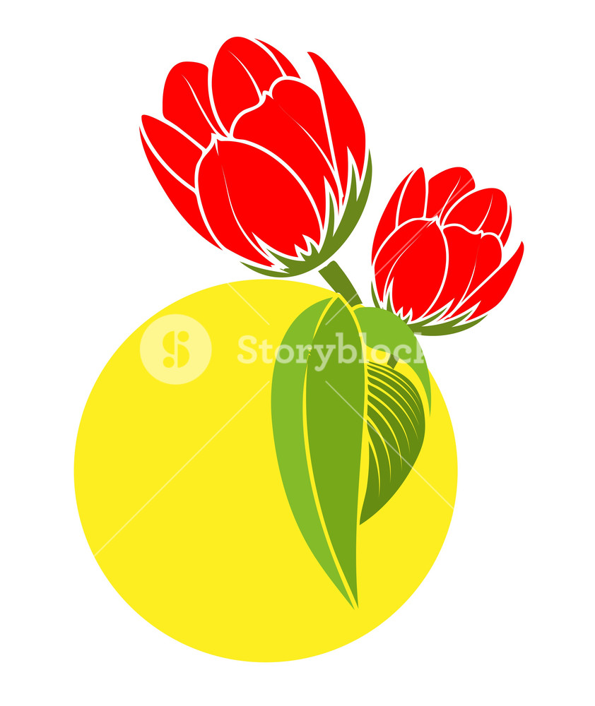 842x1000 Red Tulip Flowers Vector Royalty Free Stock Image