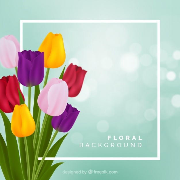 626x626 Tulip Vectors, Photos And Psd Files Free Download