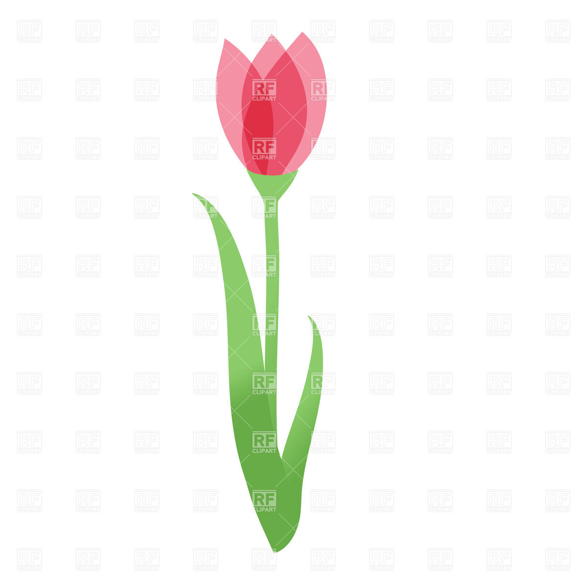 1200x1200 Tulip Flower Vector Image Vector Artwork Of Plants And Animals