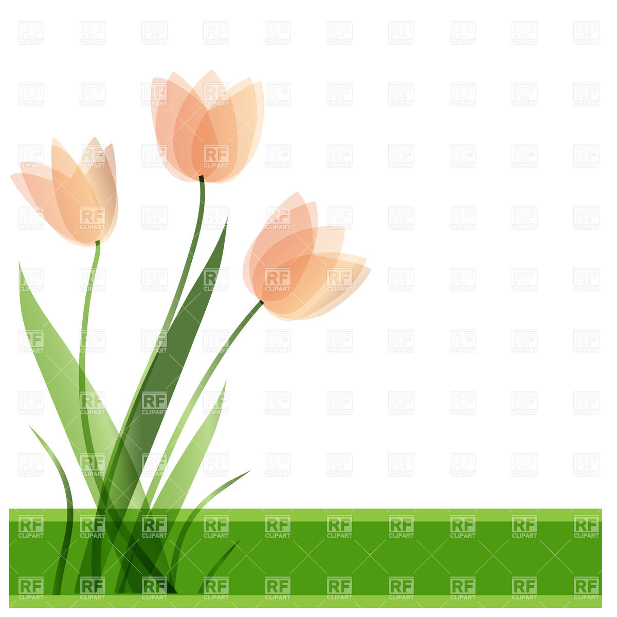 1200x1200 Tulip Flowers Vector Image Vector Artwork Of Plants And Animals