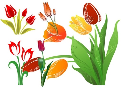 509x368 Tulip Free Vector Download (164 Free Vector) For Commercial Use