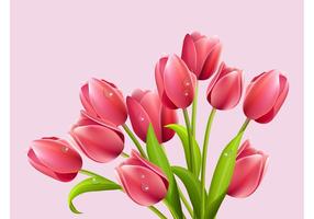 286x200 Tulips Free Vector Art
