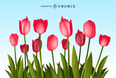 388x260 Tulip Vector Amp Graphics To Download