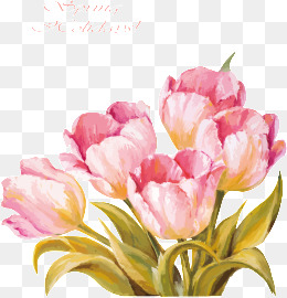 260x270 Tulip Vectors, 400 Graphic Resources For Free Download