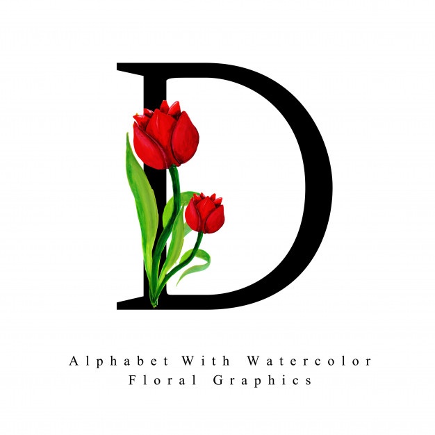 626x626 Tulip Vectors, Photos And Psd Files Free Download