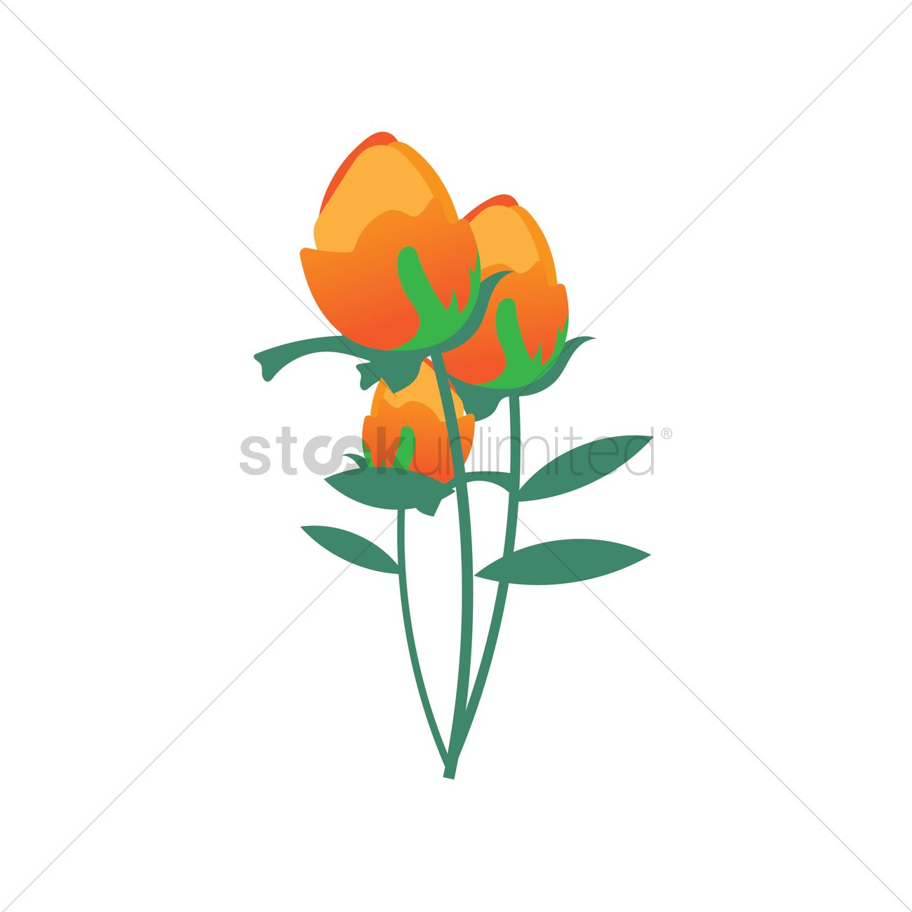 1300x1300 Tulips Vector Image