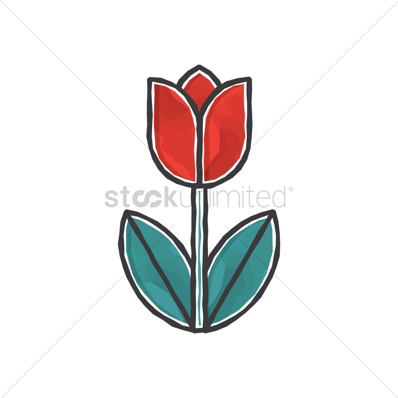 1300x1300 Tulips Vector Image