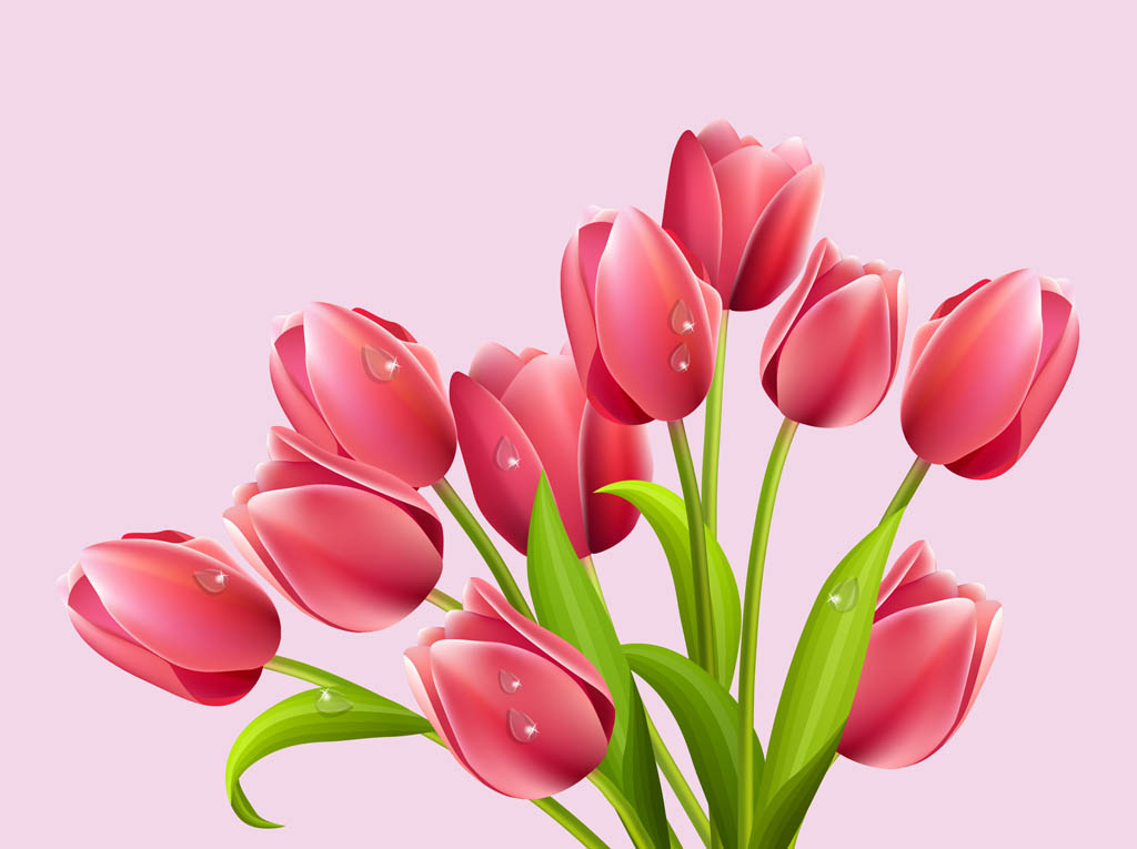 1024x765 Vector Tulips Vector Art Amp Graphics