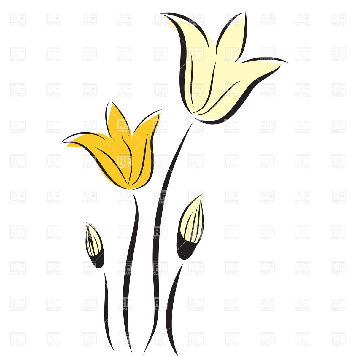 1200x1200 Hand Drawn Tulips Vector Image Vector Artwork Of Plants And