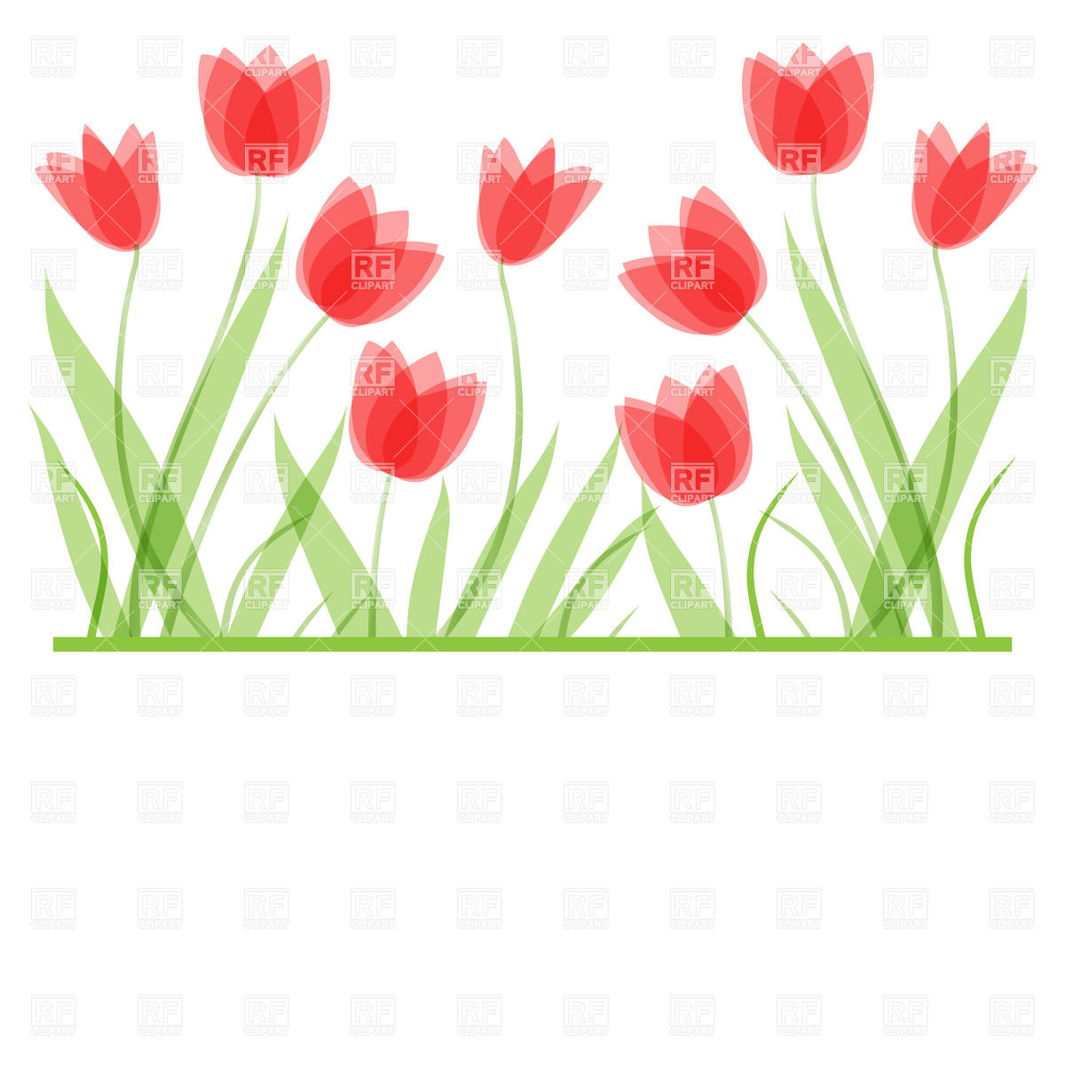 1200x1200 Tulip Flowers Vector Image Vector Artwork Of Plants And Animals
