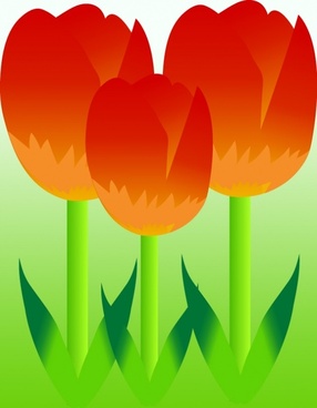 286x368 Tulip Free Vector Download (164 Free Vector) For Commercial Use