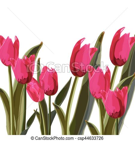 450x470 Tulip Vector Illustration On A White Background.