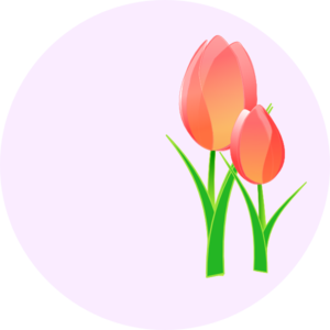 300x300 Collection Of Free Tulip Vector Cartoon. Download On Ubisafe