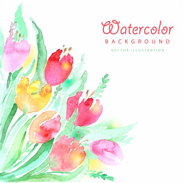 626x626 Colorful Watercolor Tulips Background Vector Free Download