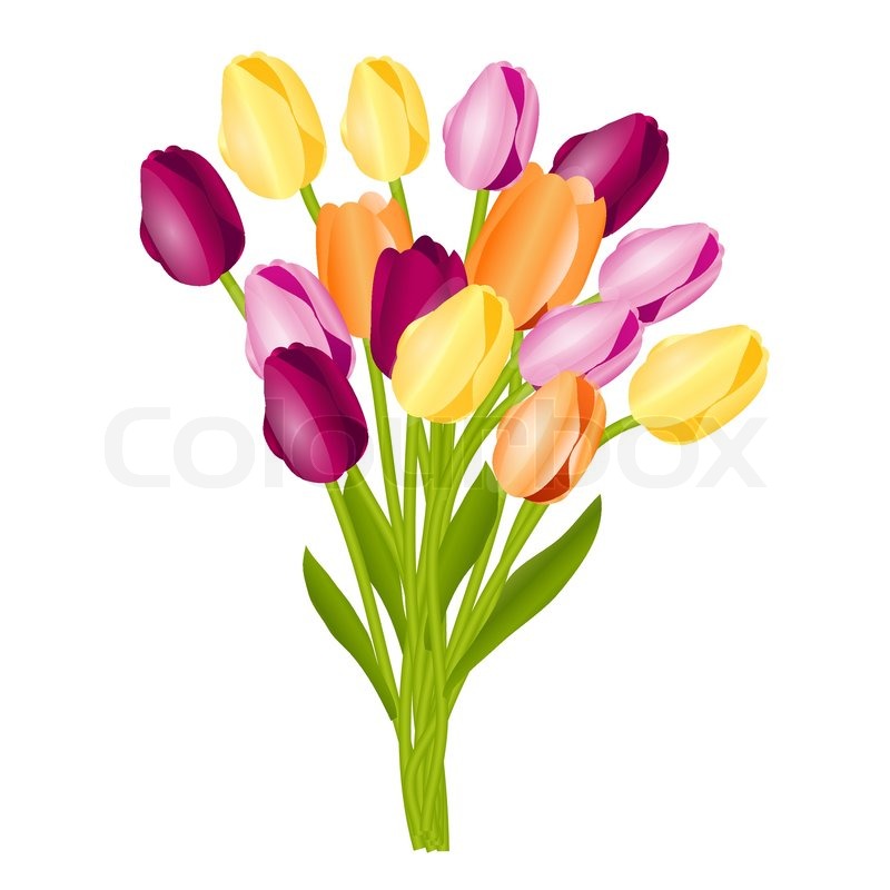 800x800 Floral Background With Tulips Stock Vector Colourbox