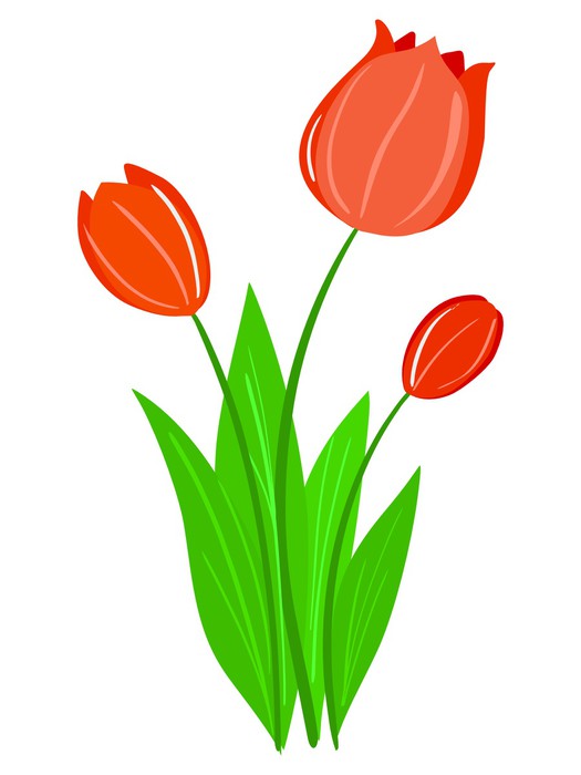 Tulipan Vector at GetDrawings | Free download
