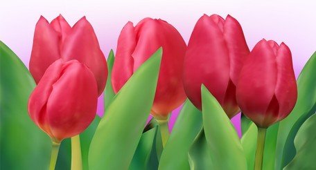 456x246 Free 01 Clipart And Vector Graphics