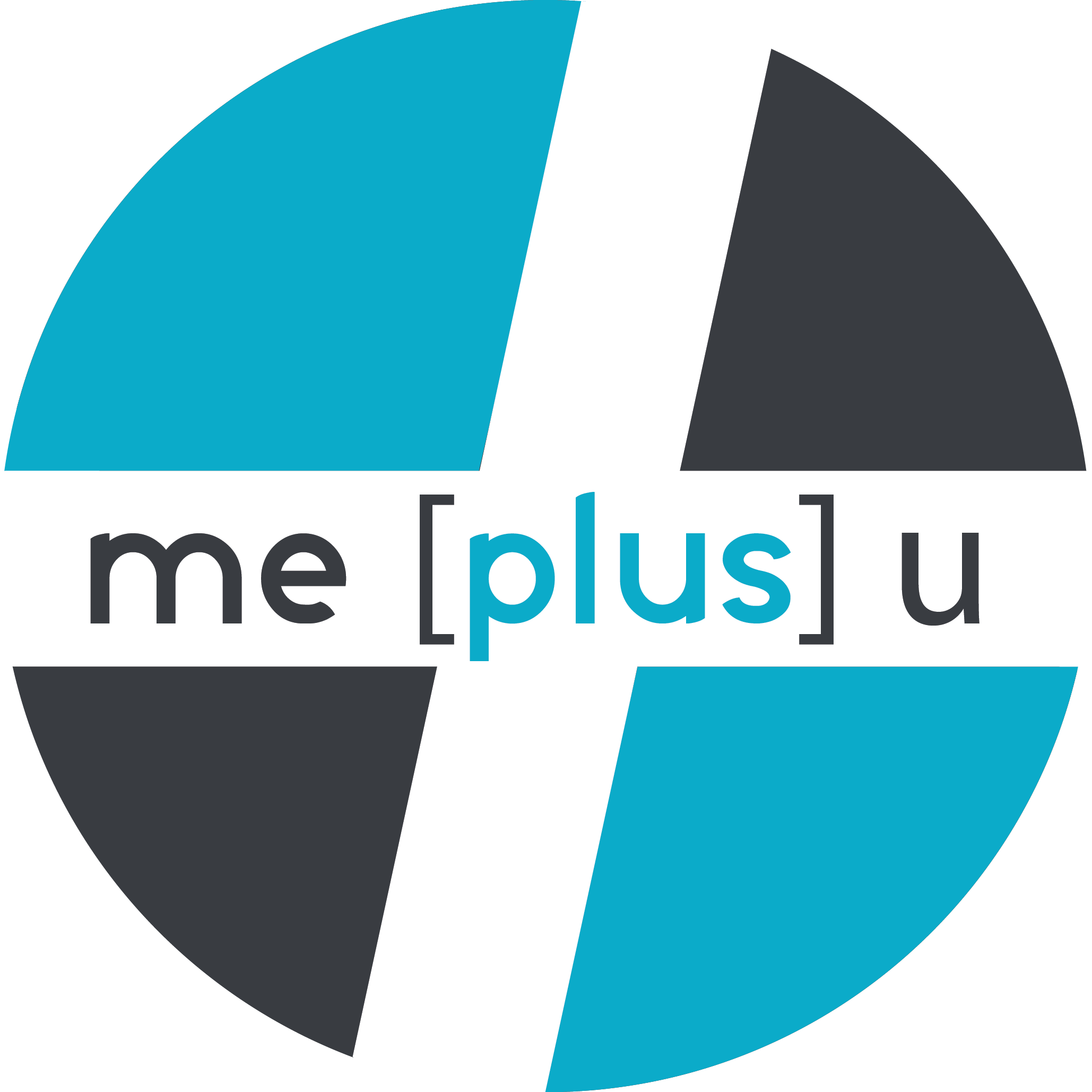 2058x2058 Tumblr Vector Logo