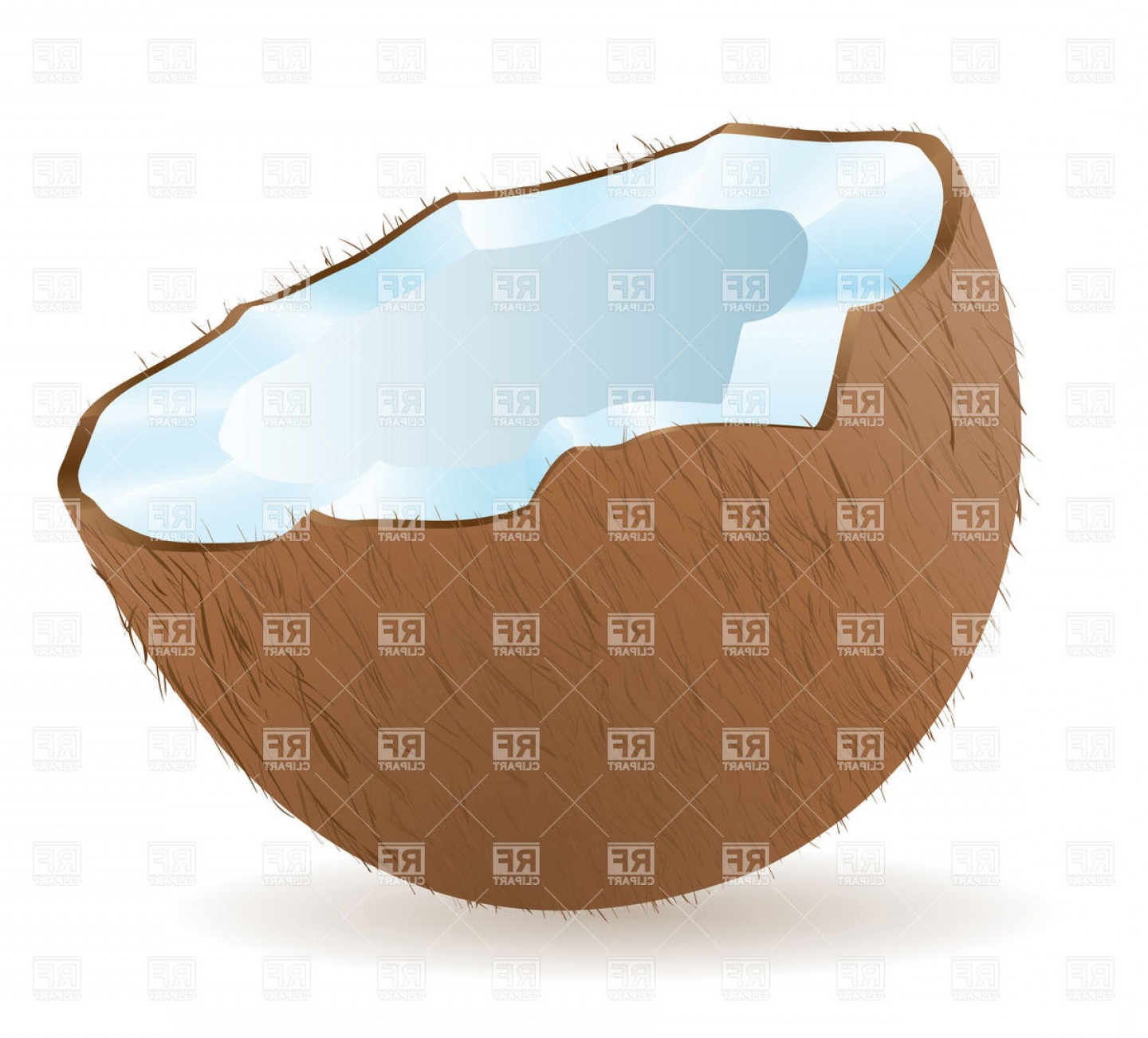 1440x1303 Half Of Coconut Tumblr Vector Clipart Shopatcloth