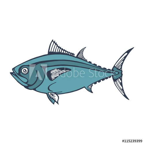 500x500 Sea Fish Tuna. Vector