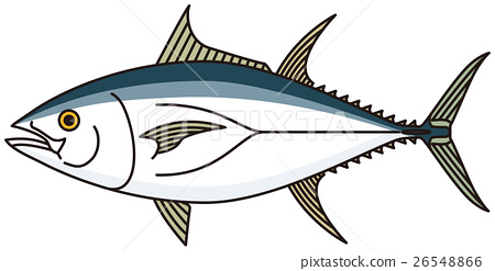 450x247 Tuna, Vector, Vectors