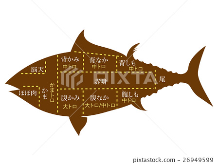 450x337 Tuna, Vector, Vectors