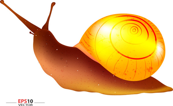598x368 Turbo Snail Free Vector Download (160 Free Vector) For Commercial