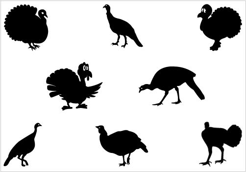 Turkey Vector at GetDrawings | Free download