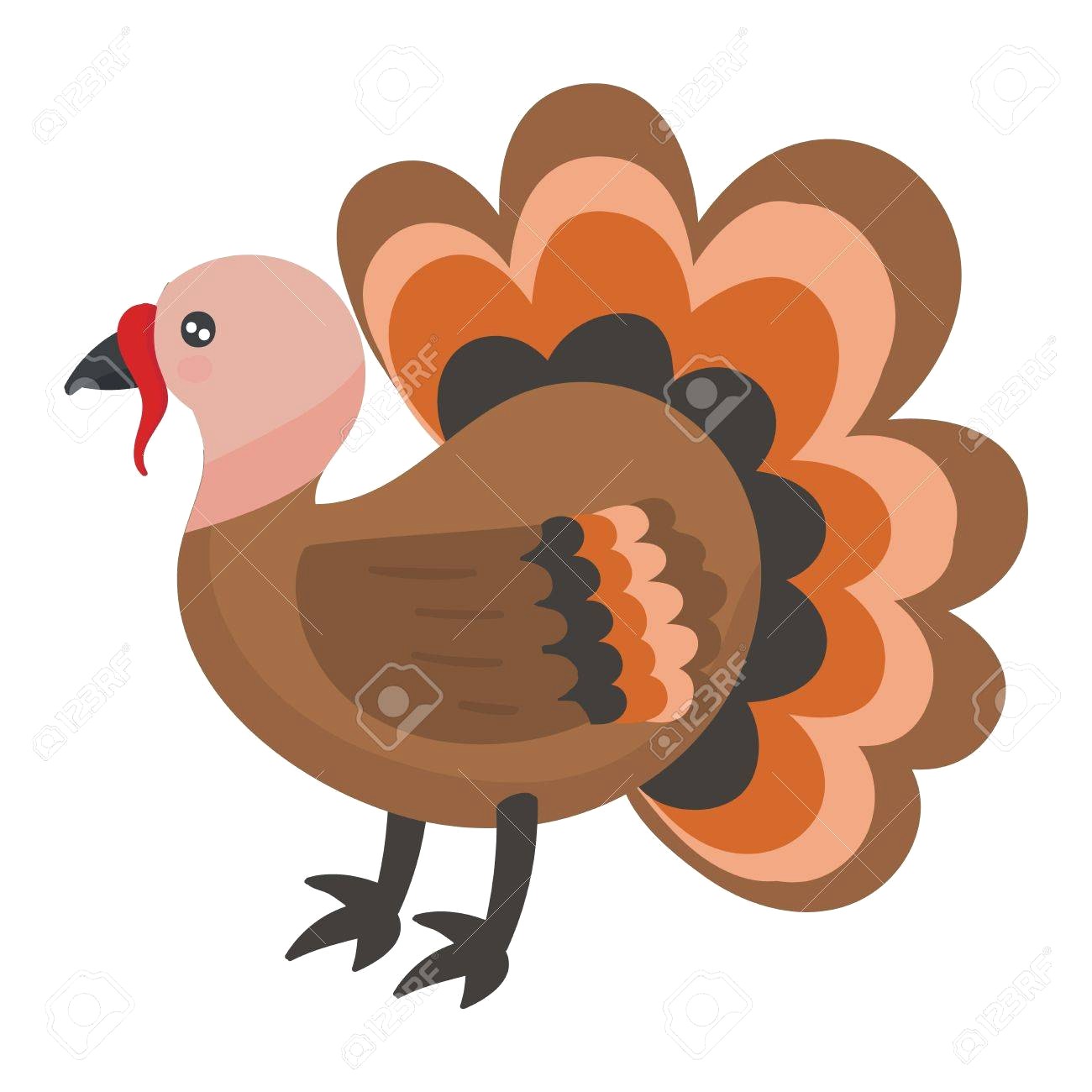 1300x1300 Cartoon Turkey Vector Id617877470 15