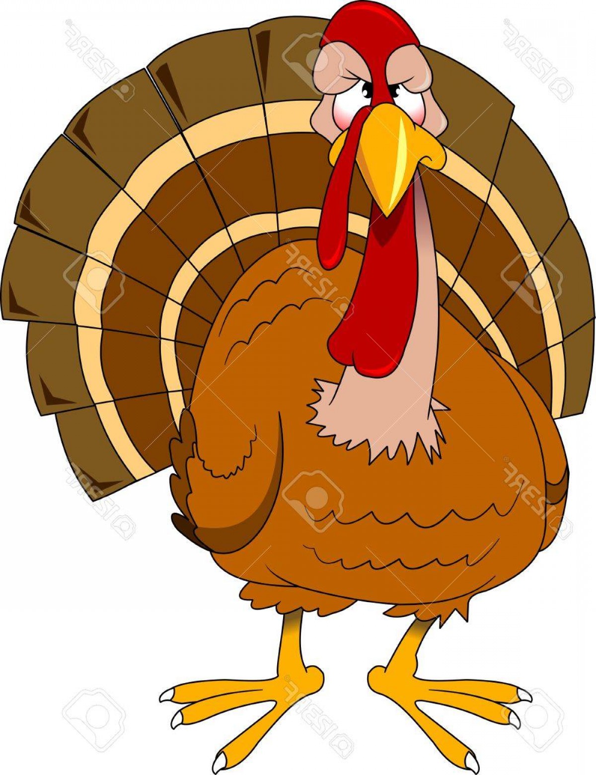 1200x1560 Photostock Vector Cute Cartoon Thanksgiving Turkey Vector And