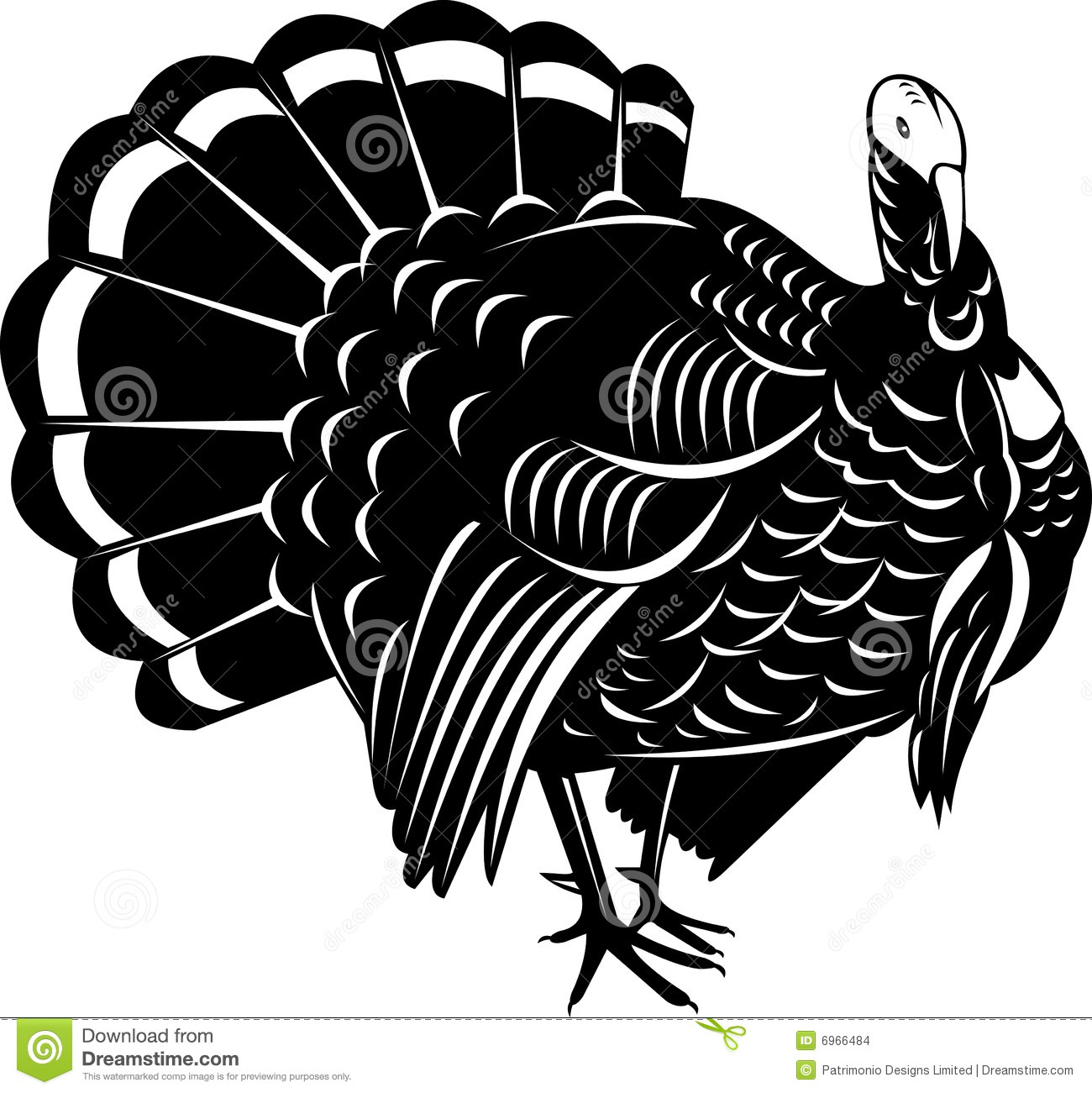 1300x1301 Turkey Vector