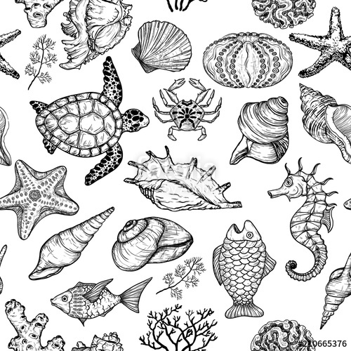 500x500 Seamless Pattern With Sketch Of Sea Shells, Fish, Corals And