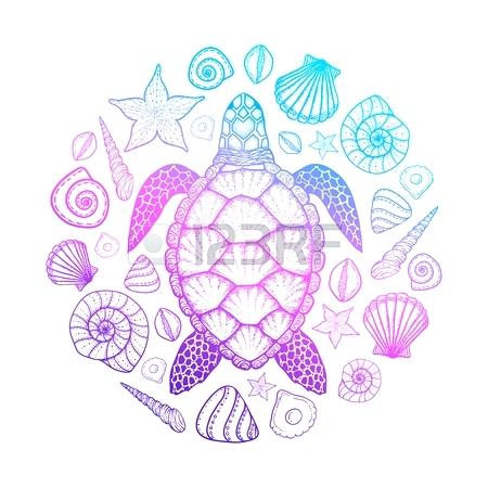 Turtle Shell Pattern Vector at GetDrawings | Free download