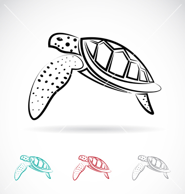 Turtle Shell Vector at GetDrawings | Free download