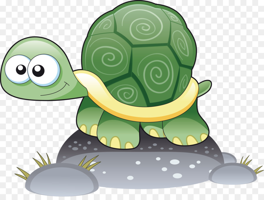 900x680 Turtle Cartoon Drawing