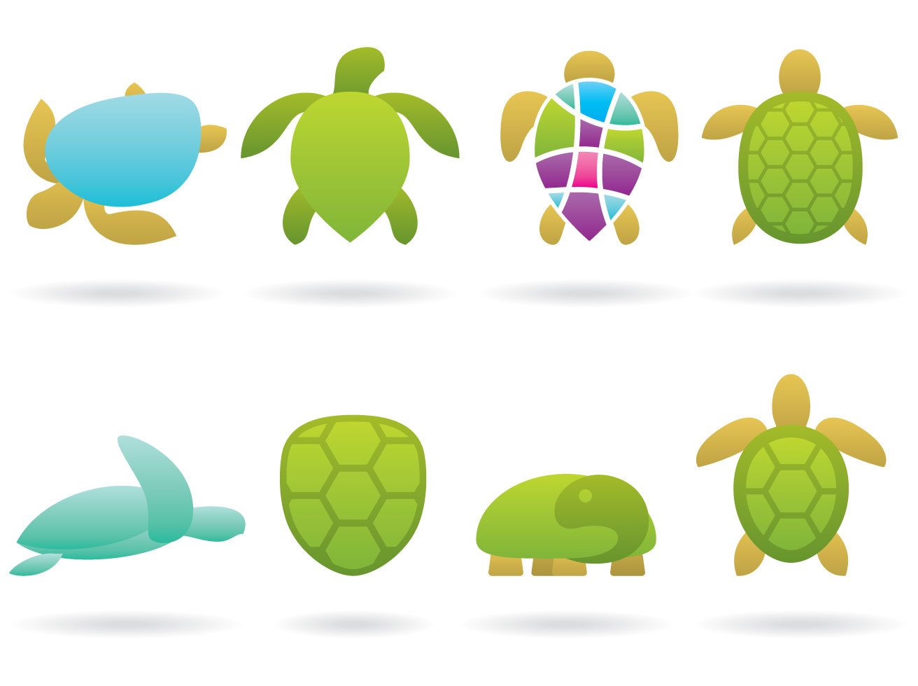 1312x980 Turtle Logo Vectors Vector Art Amp Graphics