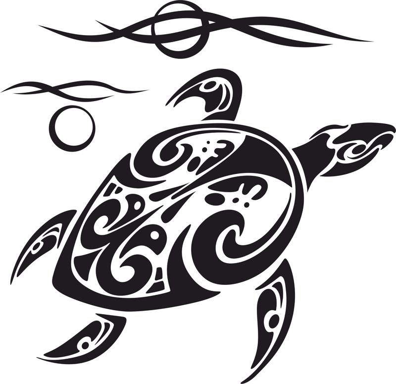 800x775 Turtle Tattoo Vector Art Free Vector Download