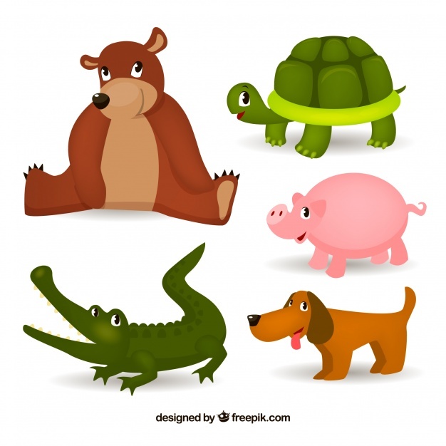 626x626 Turtle Vectors, Photos And Psd Files Free Download