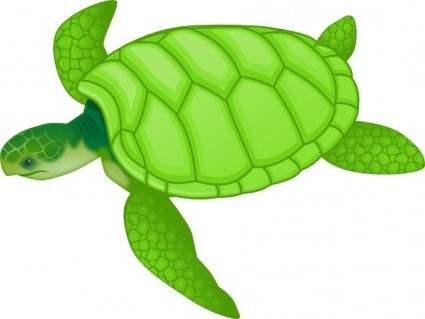 425x319 Vector Green Sea Turtle Vector Clip Art
