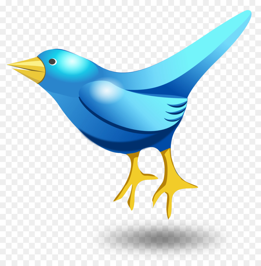 900x920 Bird Clip Art